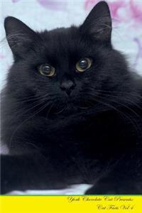 York Chocolate Cat Presents