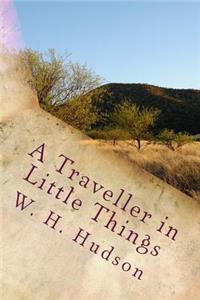 A Traveller in Little Things