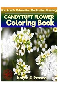 CANDYTUFT FLOWER Coloring book for Adults Relaxation Meditation
