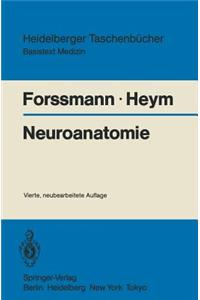 Neuroanatomie