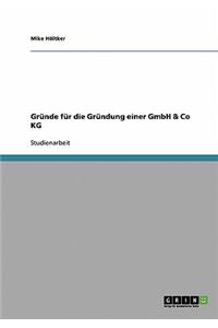 Gründe für die Gründung einer GmbH & Co KG