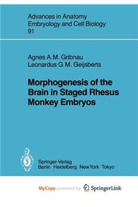 Morphogenesis of the Brain in Staged Rhesus Monkey Embryos