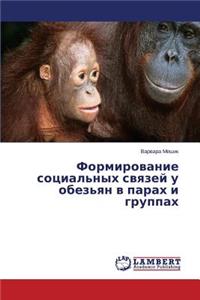Formirovanie Sotsial'nykh Svyazey U Obez'yan V Parakh I Gruppakh