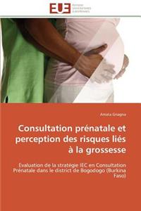 Consultation prénatale et perception des risques liés à la grossesse