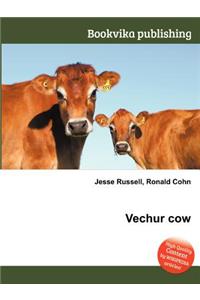 Vechur Cow