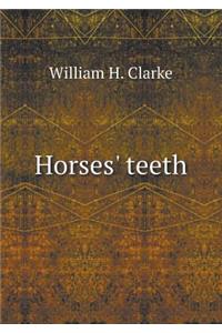 Horses' teeth