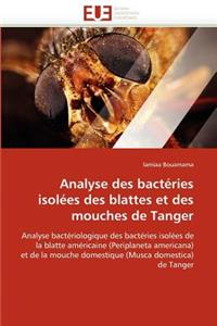 Analyse Des Bactéries Isolées Des Blattes Et Des Mouches de Tanger