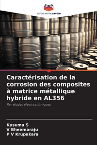 Caractérisation de la corrosion des composites à matrice métallique hybride en AL356