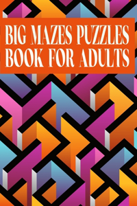 Big Mazes Puzzles Book For Adults: 200 Mazes in Variety of puzzle styles Challenging with Hard Mazes Puzzles Book for Adults.