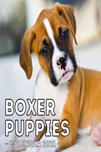 Boxer Puppies Calendar 2021