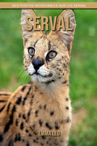 Serval