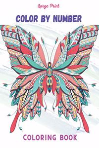 Large Print Color By Number Coloring Book