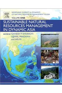 Redefining Diversity and Dynamics of Natural Resources Management in Asia, Volume 1