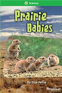 Storytown: Above Level Reader Teacher's Guide Grade 2 Prairie Babies