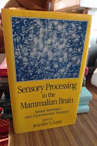 Sensory Processing in the Mammalian Brain