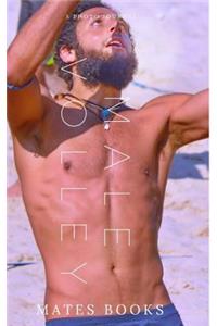 Beach Volley