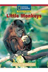 Little Monkeys Us Ed