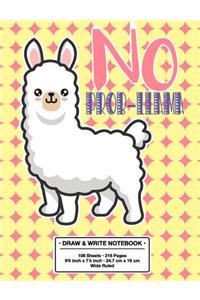 No Prob-Llama Draw and Write Notebook