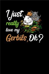 I Just Really Love My Gerbils, Ok?