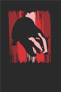 Badger Wild Animal
