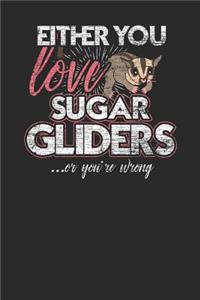 Either You Love Sugar Gliders Or You're Wrong