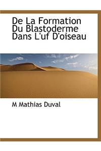 de La Formation Du Blastoderme Dans L'Uf D'Oiseau