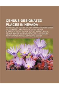 Census-Designated Places in Nevada