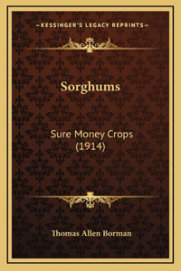 Sorghums