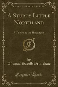 A Sturdy Little Northland: A Tribute to the Shetlanders (Classic Reprint)