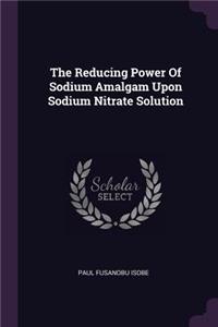 Reducing Power Of Sodium Amalgam Upon Sodium Nitrate Solution