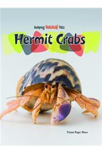 Hermit Crabs