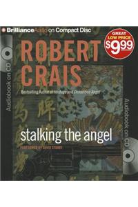 Stalking the Angel