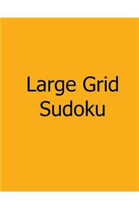 Large Grid Sudoku