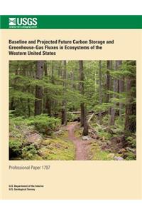 Baseline and Project Future Carbon Storage and Greenhouse-Gas Fluxes in Ecosystems of the Western United States