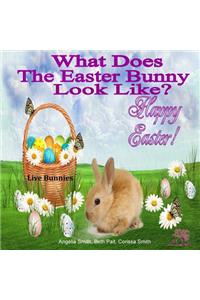 What Does The Easter Bunny Look Like?