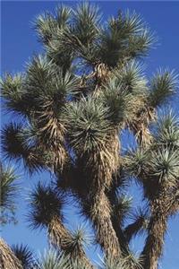 Yucca Trees Journal: 150 Page Lined Notebook/Diary