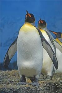 King Penguins in South Georgia Journal: 150 Page Lined Notebook/Diary