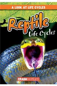 Reptile Life Cycles