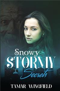 Snowy Stormy Secrets
