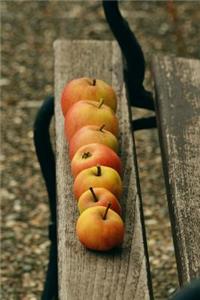 Organic Red Windfall Apples on a Garden Bench Harvest Journal
