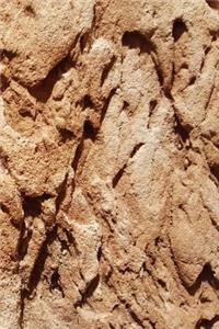 Journal Geological Formation