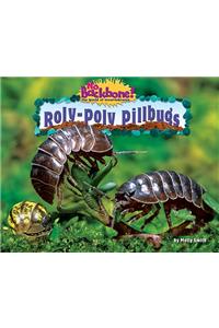 Roly-Poly Pillbugs