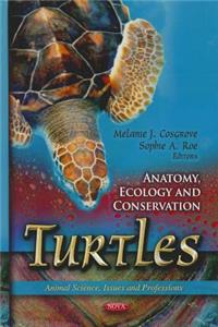 Turtles