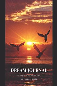 Dream Journal Awareness of the Dream State