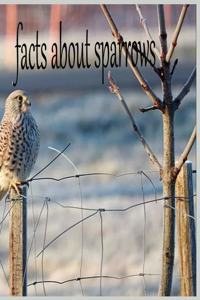facts about sparrows
