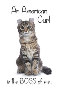 A Black Tortoiseshell Tabby American Curl Cat is the Boss of me...