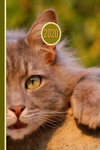 2020 Planner