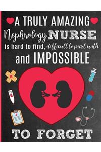 A Truly Amazing Nephrology Nurse Is Hard To Find, Difficult To Part With And Impossible To Forget