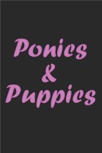 Ponies & Puppies