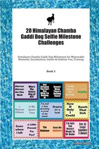 20 Himalayan Chamba Gaddi Dog Selfie Milestone Challenges